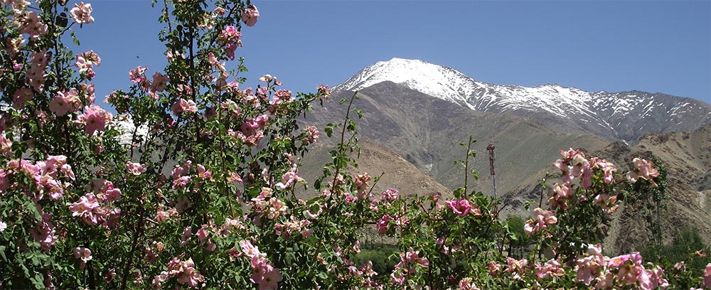azsia-tura-india-leh-latnivalok-7