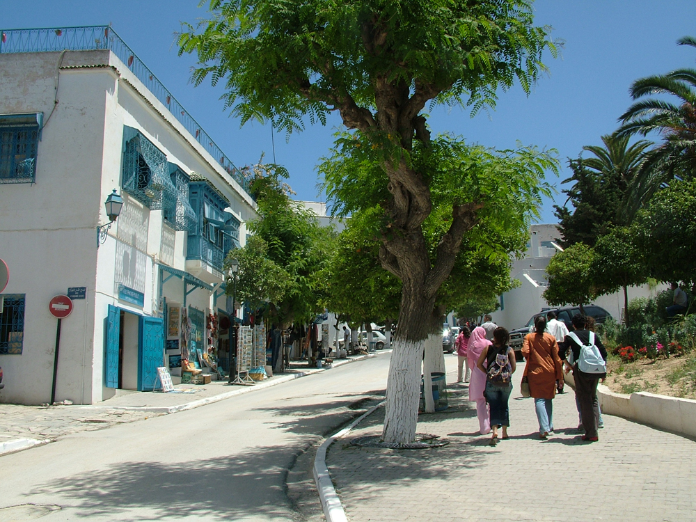 sidi bou (1)