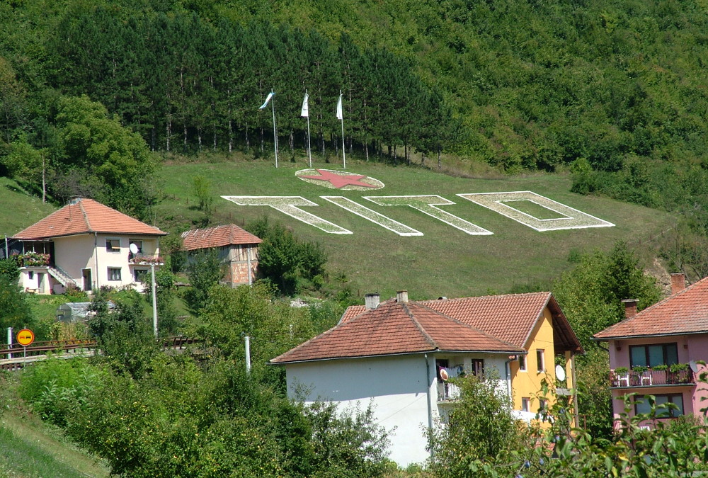 drina csamborgo (11)