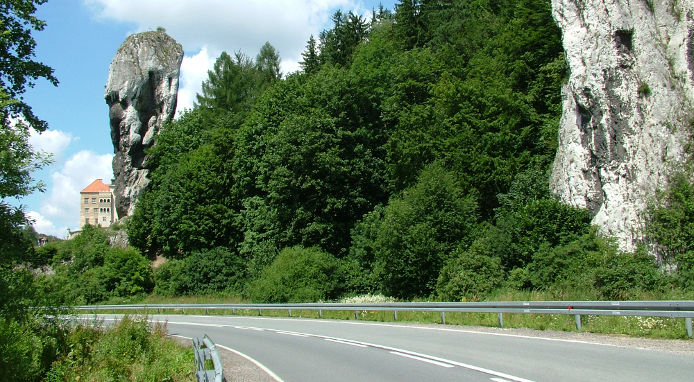 pieskowa herkules (4)