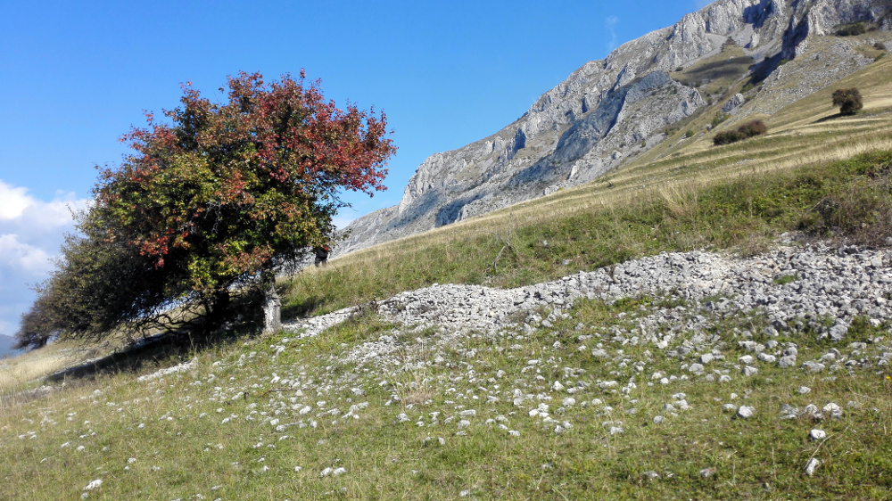 szekelyko lentrol (1)