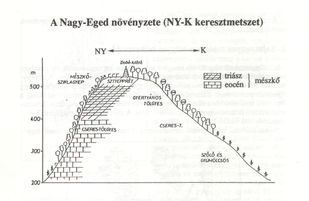 A Nagy-Eged keresztmetszete - Forrás: Kárász Imre